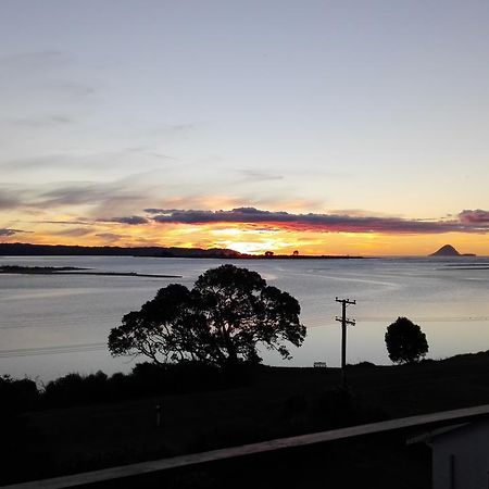Ohiwa Harbour Studio Apartment Waiotahi エクステリア 写真